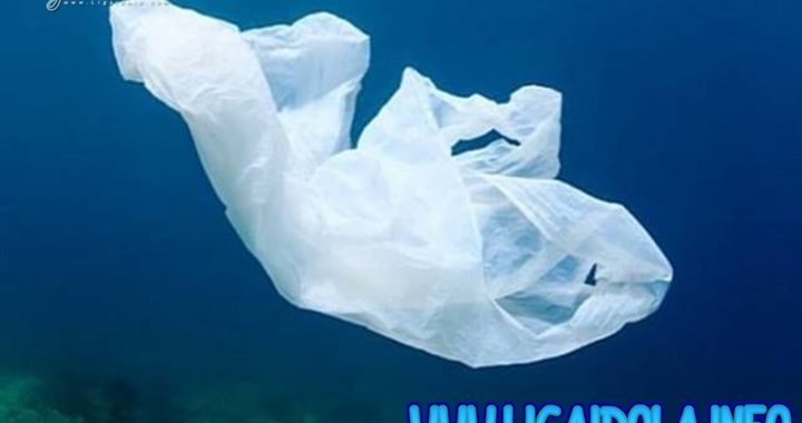 Sampah Plastik akan Mengalahkan Jumlah Ikan di Laut