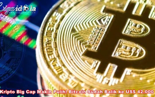 Kripto Big Cap Makin Pulih Bitcoin Sudah Balik ke US$ 42.000
